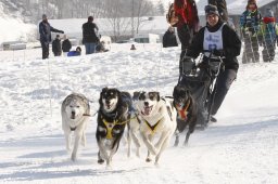 Lenk 2012 SM